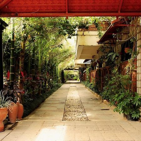 The Green Path Eco Hotel Bangalore Esterno foto